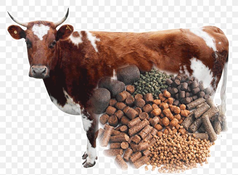 Animal Feed -fodder-pelletizing
