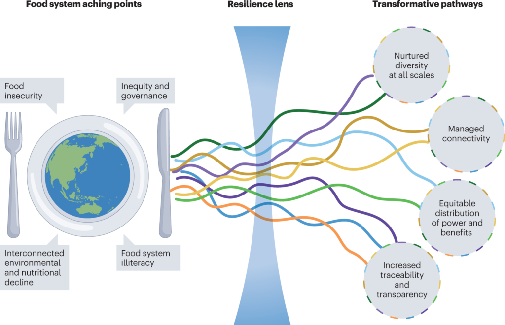 Non-state Actors in Food Security