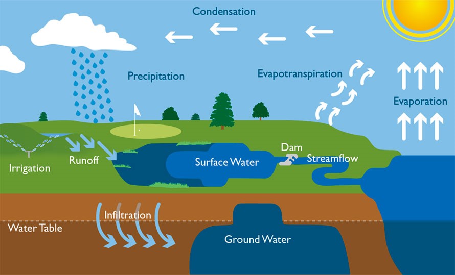 Elements of the Water Cycle