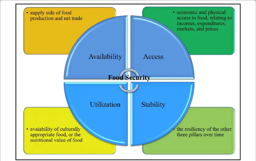 Four Pillars of Food Security