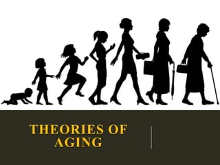 Theories of Aging Fully Explained 4 THEORIES OF AGING