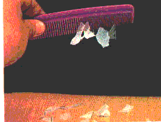 PROPERTIES OR EFFECTS OF STATIC ELECTRICITY 7 Using static electricity to pick up tissue with a comb. Effects of Static electricity