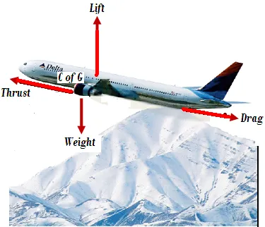 MOMENT OF FORCES AND EQUILIBRIUM IN PHYSICS