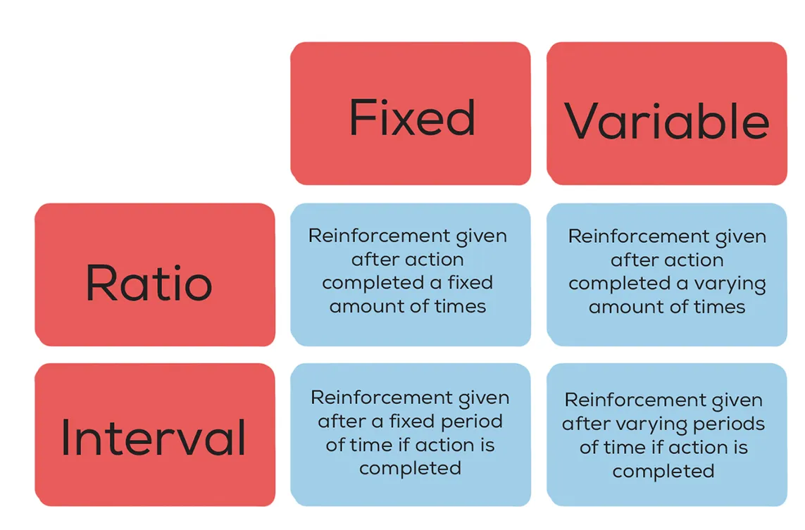 Theory of Operant Conditioning 4 Schedules of reinforcement in Operant Conditioning