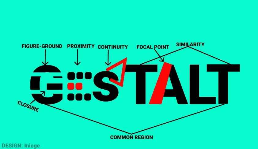Cognitive Field or Gestalt Theory of learning