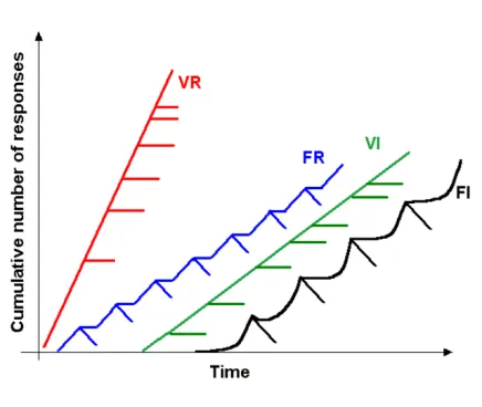 Theory of Operant Conditioning 5 Schedules of reinforcement in Operant Conditioning