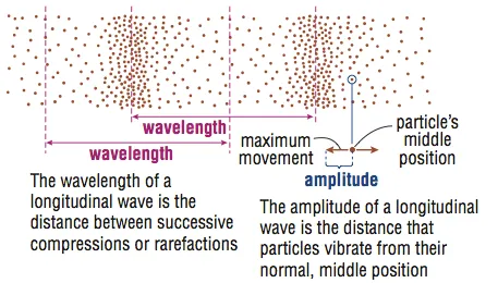 Amplitude 5 Amplitude of a longitudinal wave