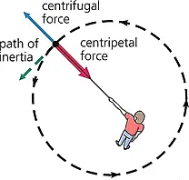 Centrifugal force 4 Centrifugal force is directed outwards the centre of rotation