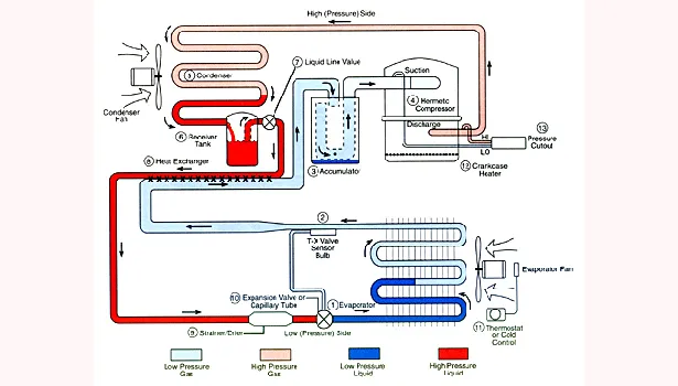Cooling Effects of Evaporation