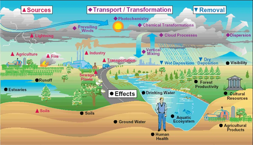 Environmental Pollution
