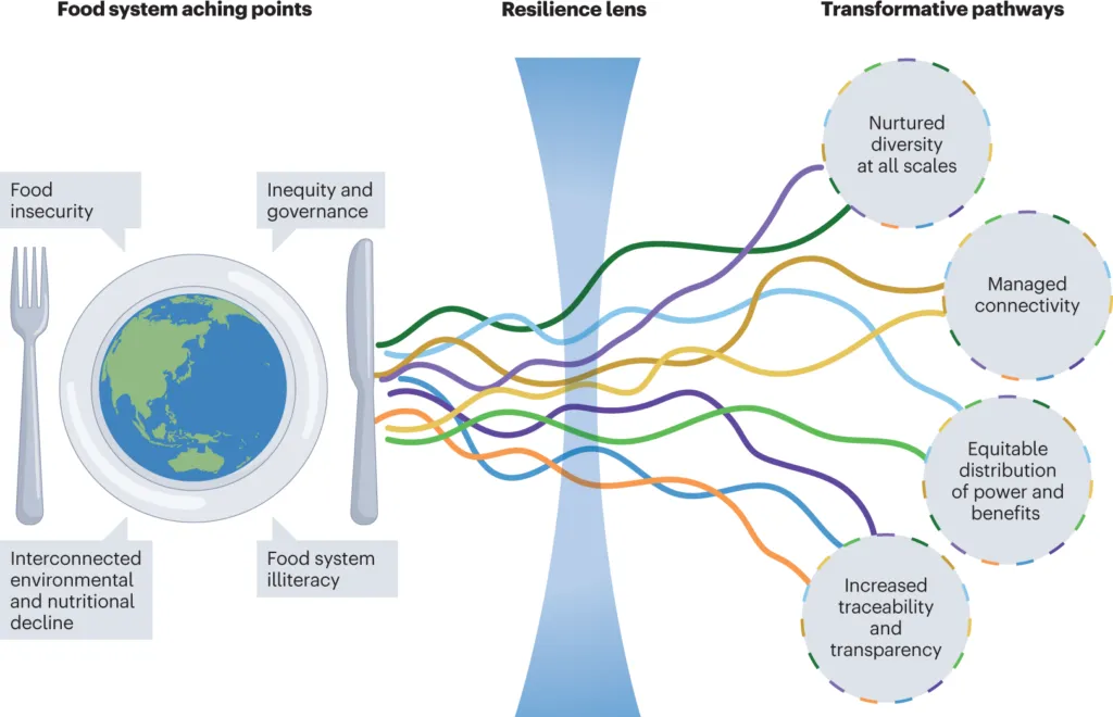 Non-state Actors in Food Security