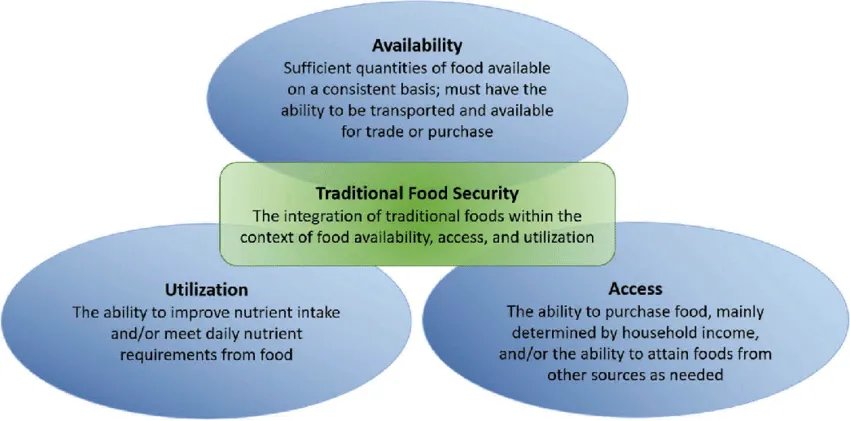 The 4 Pillars of Food Security 3 The four Pillars of Food Security