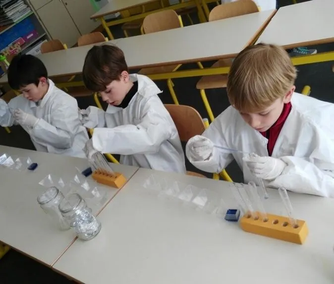 Scientific attitudes