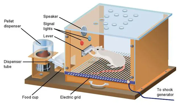 Theory of Operant Conditioning 3 Theory of Instrumental or Operant Conditioning