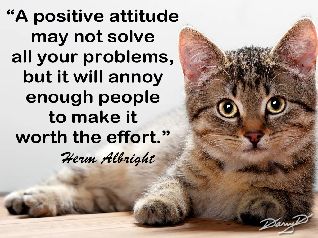 ATTITUDE AND WORK ATTITUDE AND WORK
