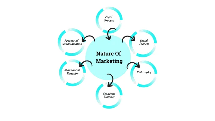 NATURE AND SCOPE OF THE BUSINESS MARKET