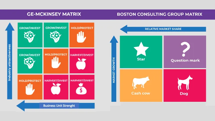 Shortcomings of BCG portfolio evaluation