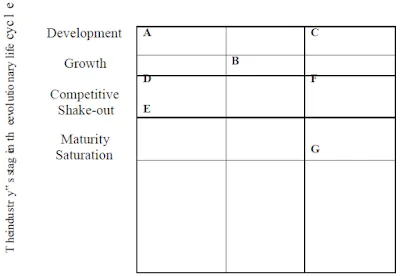 The life-cycle Portfolio matrix STRATEGY EVALUATION USING OTHER TECHNIQUES