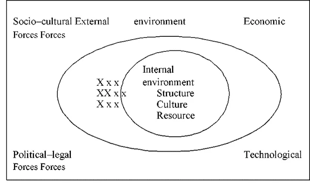 Organizational Development ENVIRONMENTAL ANALYSIS