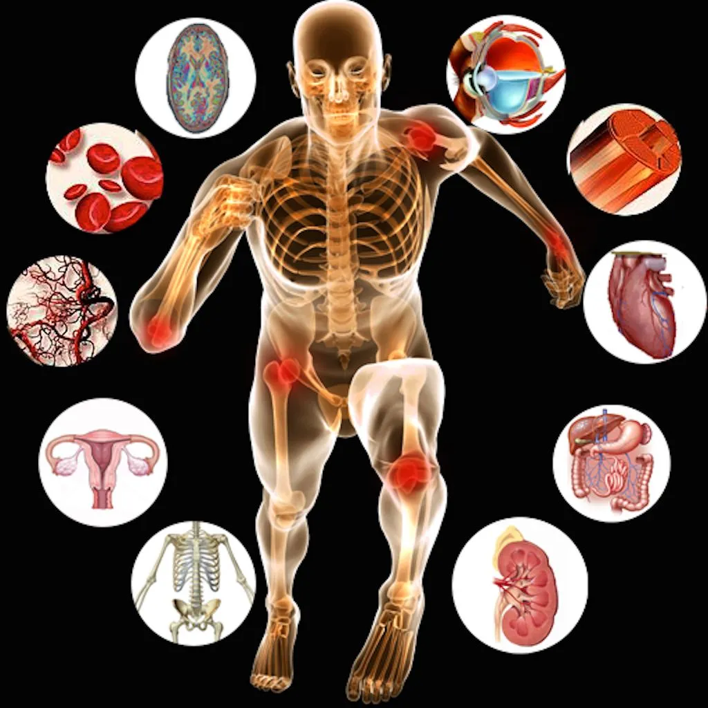 HUMAN ANATOMY, PHYSIOLOGY AND MICROBIOLOGY HUMAN ANATOMY, PHYSIOLOGY AND MICROBIOLOGY