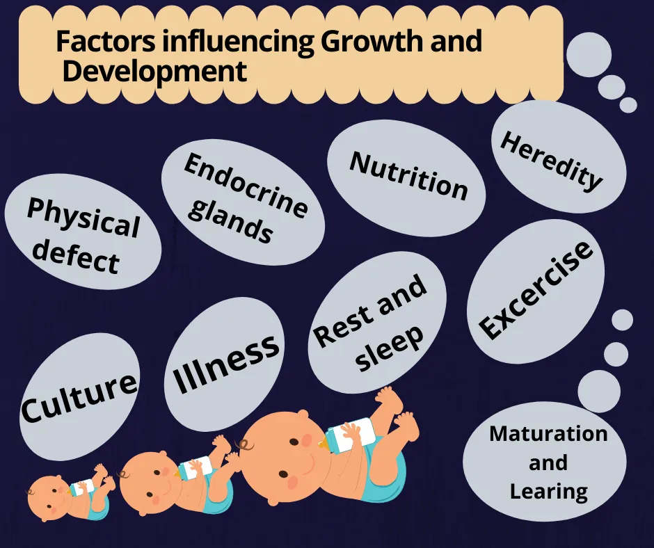 Factors 2Binfluencing 2BGrowth 2Band 2BDevelopment