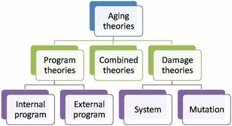 THEORIES OF AGING